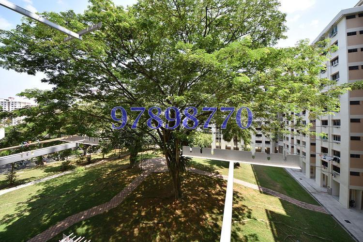 Blk 610 Ang Mo Kio Avenue 4 (Ang Mo Kio), HDB 3 Rooms #117202882